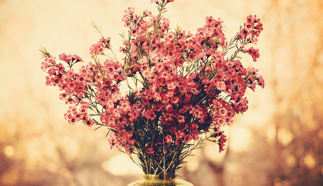 隐忍不发怎么过，隐忍不发是成语吗（怒而不发的星座）