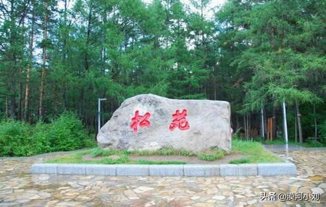 漠河旅游攻略，漠河旅游多少钱（漠河旅游实用攻略）