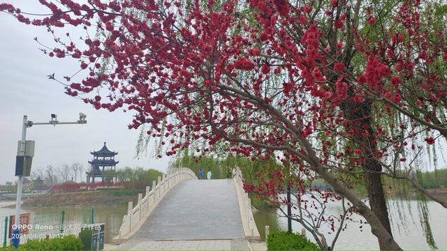 磁县旅游景点大全，磁县网红景点（磁县周边景点）