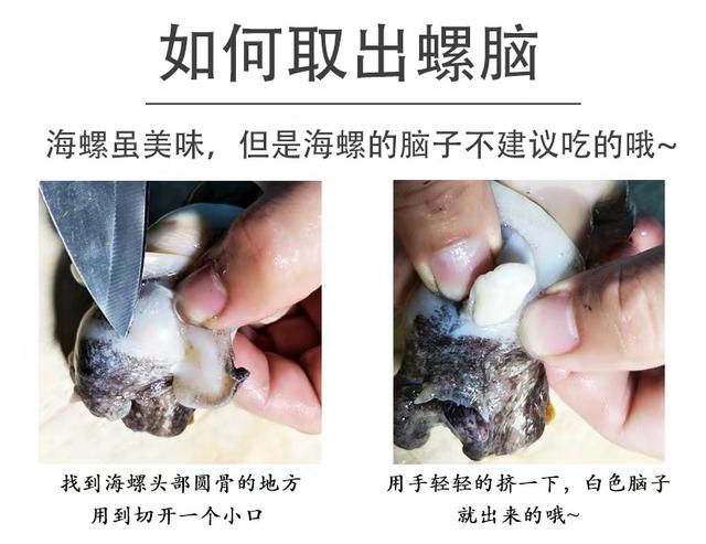 海螺不能吃部位详解图，海螺哪些部位不能吃（但是这两个部位一定别吃）