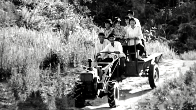 知青周萍的结局，周萍最后的结局是自杀（指导员被纳为重点嫌疑对象）