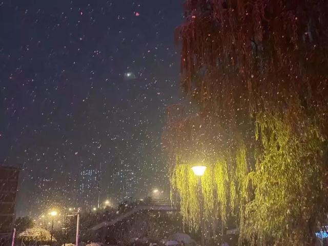 安徽三联学院地址，安徽三联学院怎么样好不好全国排名第几（<三十三>安徽三联学院）