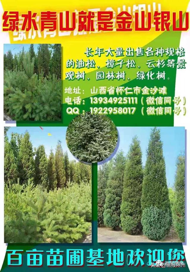 植树节的来历，植树节手抄报文字内容简短（植树节的由来是什么）