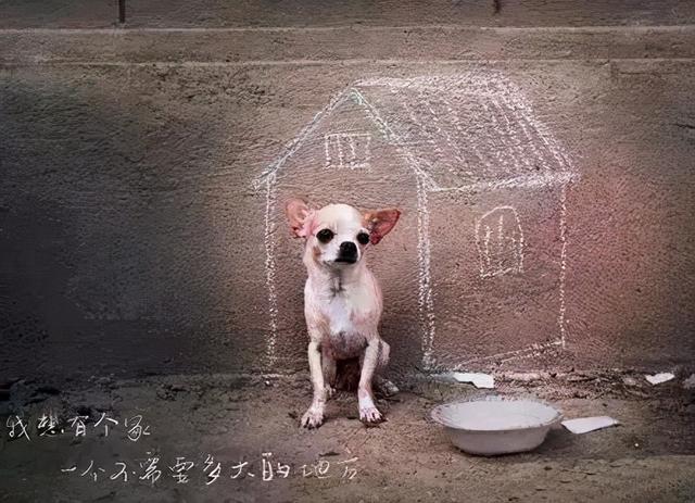 阴虱怎么治疗，阴虱怎么治疗硫磺软膏（30年前男女老少都长虱子）