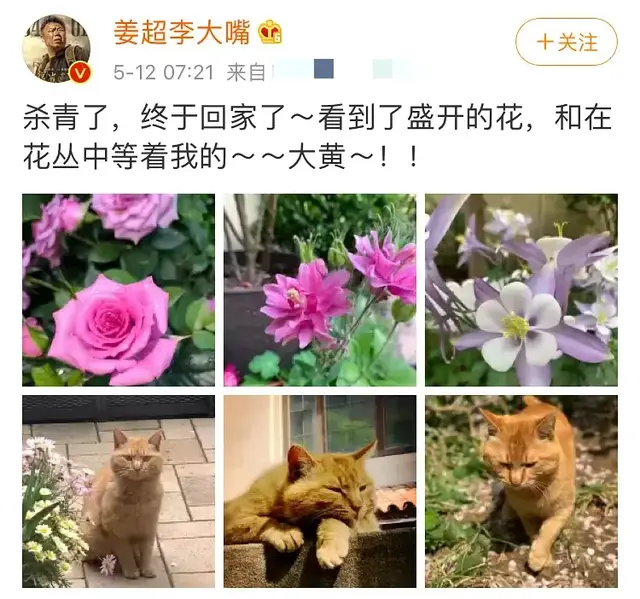 鬼吹灯之云南虫谷下一部是什么，《云南虫谷》下一部是什么（《鬼吹灯》剧粉或实现3年追5部）