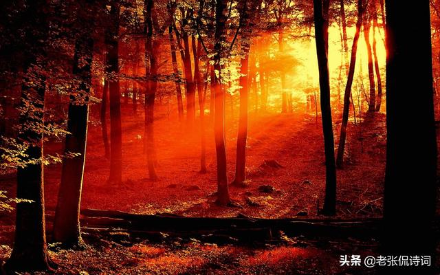 无可奈何花落去下一句是什么，无可奈何花落去下句诗是什么（宋词“无可奈何花落去）