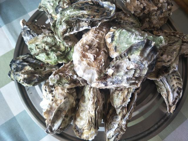 生蚝的做法蒸几分钟，生蚝的做法蒸几分钟海螺可以吃（冷水下锅还是热水下锅）