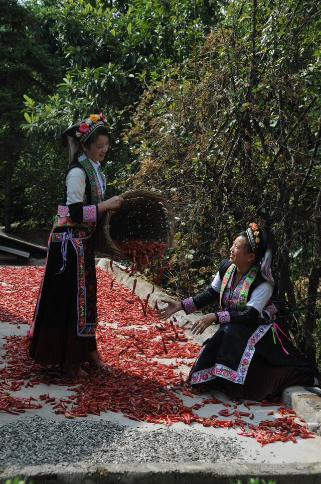 交杯酒是哪个民族的，交杯酒是哪里的传统（特色浓郁的布依族酒文化）