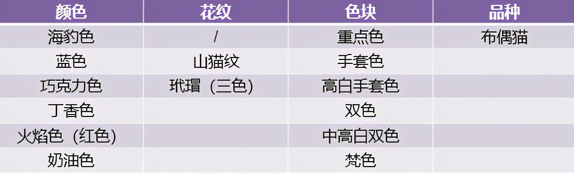 海豹双色布偶猫多少钱 海豹双色布偶猫和蓝双色布偶猫