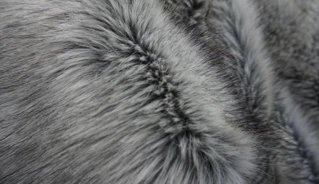 貂皮分为几种，貂皮有哪些种类（冬季皮草怎么挑，牢记这三点）