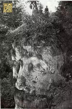 乐山大佛三江汇合是哪三江，乐山三江交汇是哪三江（修缮乐山大佛时发现胸口和耳后暗室）