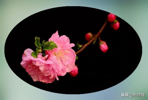 在乎与不在乎的区别，在乎与不在乎<说的太好了>