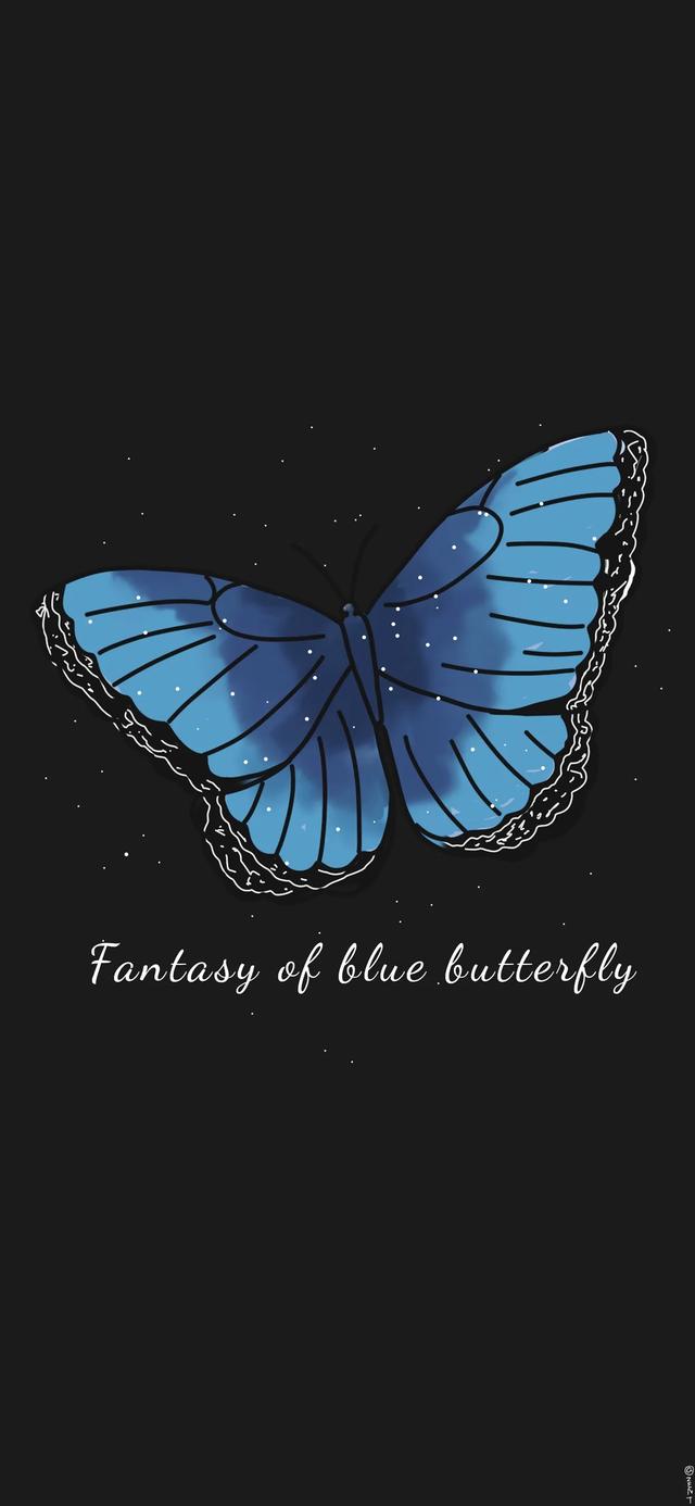 唯美有蝴蝶，微信头像，唯美有蝴蝶（超级惊艳靓丽的蝴蝶来了第二波）