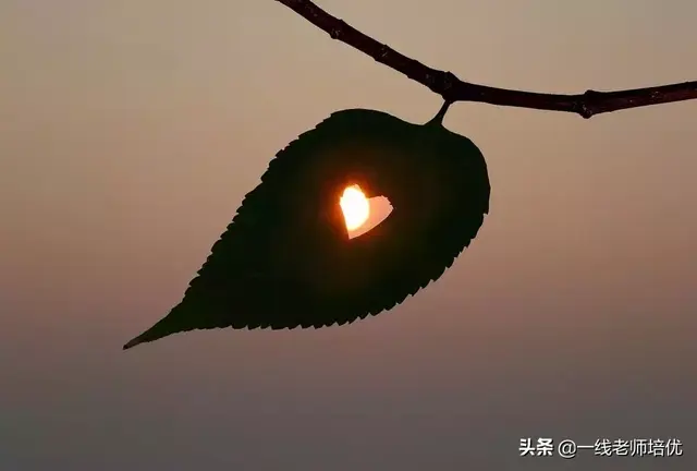 语文写景好词好句，好词好句 写景（描写景色的好词/好句/好段/好诗）