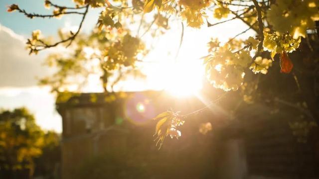 梅子流酸溅齿牙，梅子流酸溅齿牙的意思（愿你心存美好）