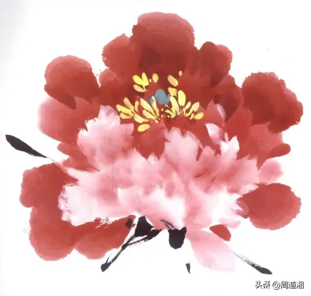 牡丹花头的画法对照表，写意牡丹花头的各种画法