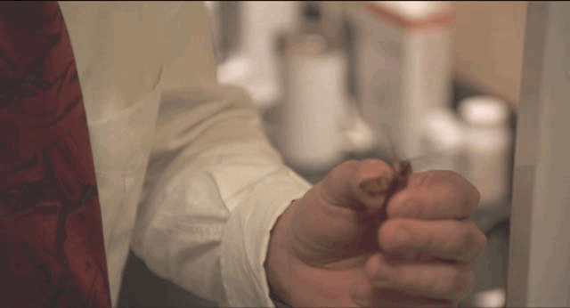 爱丽丝 金，尼古拉斯凯奇老婆爱丽丝金（尼古拉斯凯奇是如何自毁的）