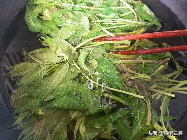 香椿子怎么吃，香椿子怎么吃降血压（样样简单一咬满口香）