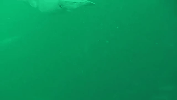 大海图片，大海图片真实照片（大海令人恐惧的一面）