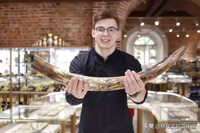 猛犸是什么东西，猛犸骨是什么东西（简单介绍一下猛犸象牙及其收藏价值）