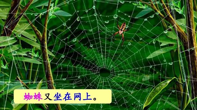 雷雨课文原文，雷雨课文原文（雷雨（二语下第16课《雷雨》课堂实录+笔记+知识梳理+课后练习+答案）