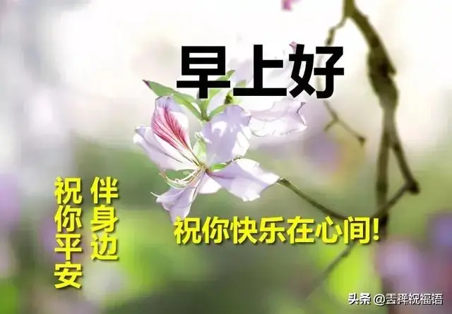 长一智的上一句是什么，长一智的上一句是什么意思（人生就是吃一堑，长一智，早安）