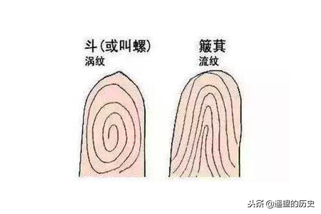 手指螺纹一到十意义，农村俗语：一螺穷、二螺富