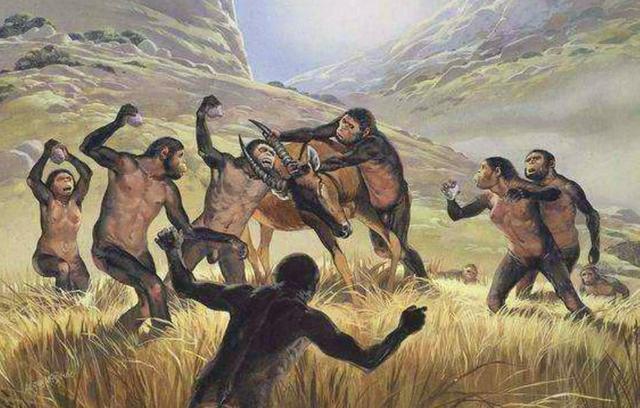 虱子卵长什么样，虱子卵（30年前农村人人都长的虱子）