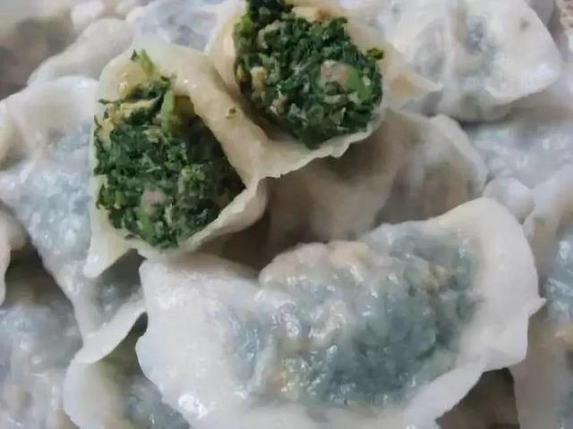 做清明果的草叫什么草，做清明果的那种草叫什么（春天不可错过的4种野菜）