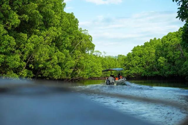 仙本那是哪个国家，仙本那 民族（这里有份攻略请收藏）