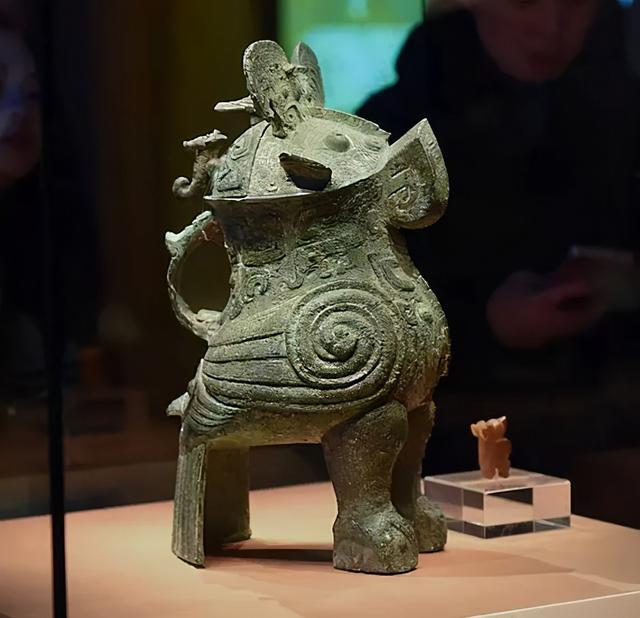 养雪鸮犯法吗，宠物雪貂多少钱一只（猫头鹰的构造原来这么奇葩）