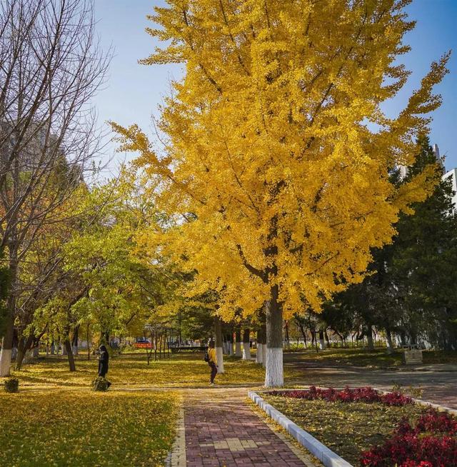 辽东学院宿舍条件怎么样，辽东学院宿舍几人间（辽宁省普通高等院校）