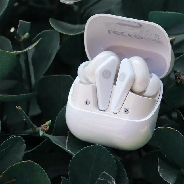 小鸟耳机怎么连接蓝牙,小鸟耳机怎么连接蓝牙使用(小鸟