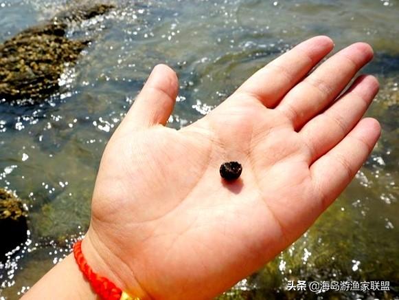 哈仙岛在哪里，哈仙岛附近还有什么岛（这一篇攻略就够了）