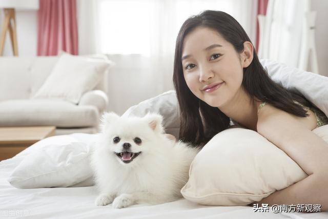 客家话讲狗贴草是什么草，狗草的功效与作用（狗有狗的幸福——浅谈客家人和畲族人跟“狗”的关系）