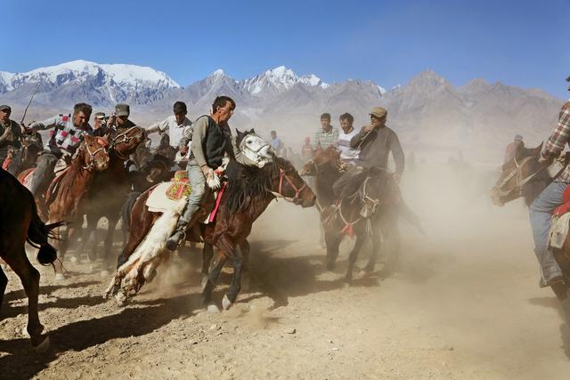 用马字组词有什么，马字组词还有什么（拍马“留序”摄影浅谈）