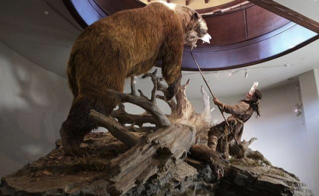 全球最大的熊类，哪种熊是全球最大的熊类（身高5米相当于两层楼高）