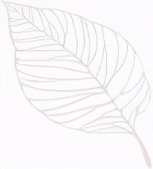 什么风细雨成语四字词语，什么风细雨（描写四季、时辰、人物的成语锦集）