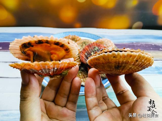 扇贝怎么保存最新鲜，鲜扇贝怎么保存（海边人分享怎么挑扇贝）