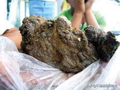 太岁在什么方位，2013年太岁在什么方位（来看看全国所发现的部份“太岁”长得啥样）