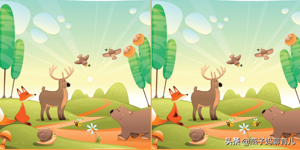 萝卜蹲的游戏规则，萝卜蹲的游戏规则教案（快来试试这几个改掉粗心的方法）