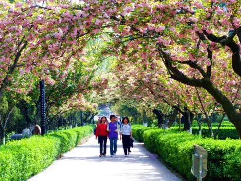 陕西所有大学排名，陕西所有大学排名一览表（陕西省高校排行榜）