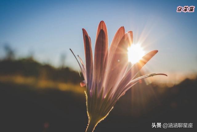 最讨人喜欢的星座女，最讨人喜欢的星座女男神最喜欢的星座女谁是第一名（最讨人喜欢的四大星座女）