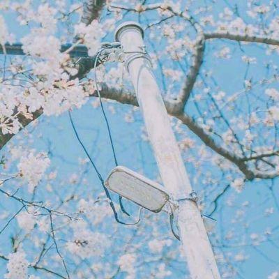 粉色头像女微信，女生可爱粉红系QQ头像（粉红少女系微信风景头像高清唯美）