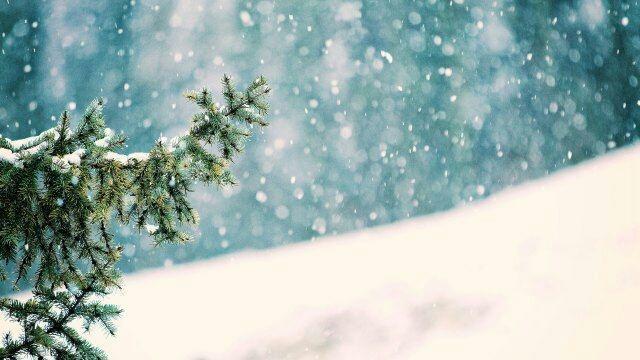 表达下雪的经典的说说，精致走心，发朋友圈很受欢迎！