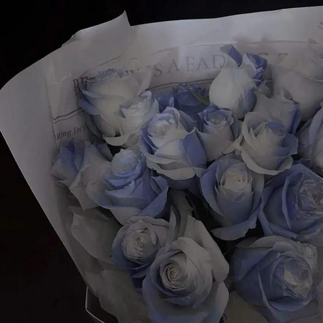 ins背景图，ins背景图简约（惊艳访客的ins风小众背景图）