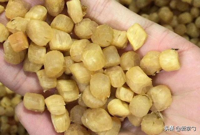 瑶柱肉片粥的做法，瑶柱鱼片粥的做法大全（虾仁瑶柱瘦肉粥只要多加几步）