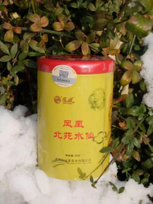 水仙茶的功效与作用，大红袍水仙茶的功效与作用（廿四节沏 · 大雪——水仙茶）