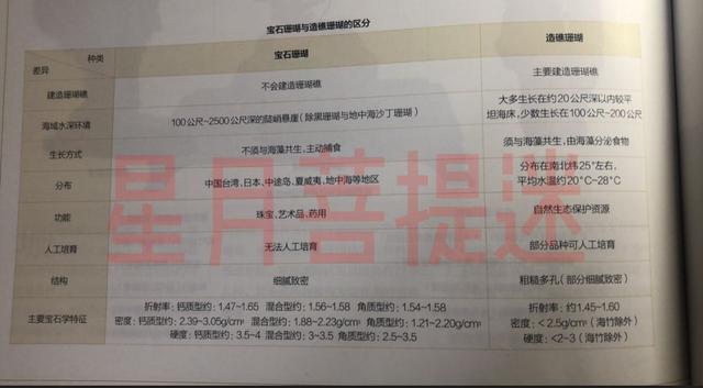 金丝柳，“金珊瑚”和“金丝柳”的替代品（金丝柳图片）