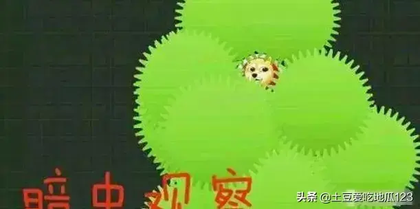 打屁股游戏大全(打屁股游戏大全手机版)